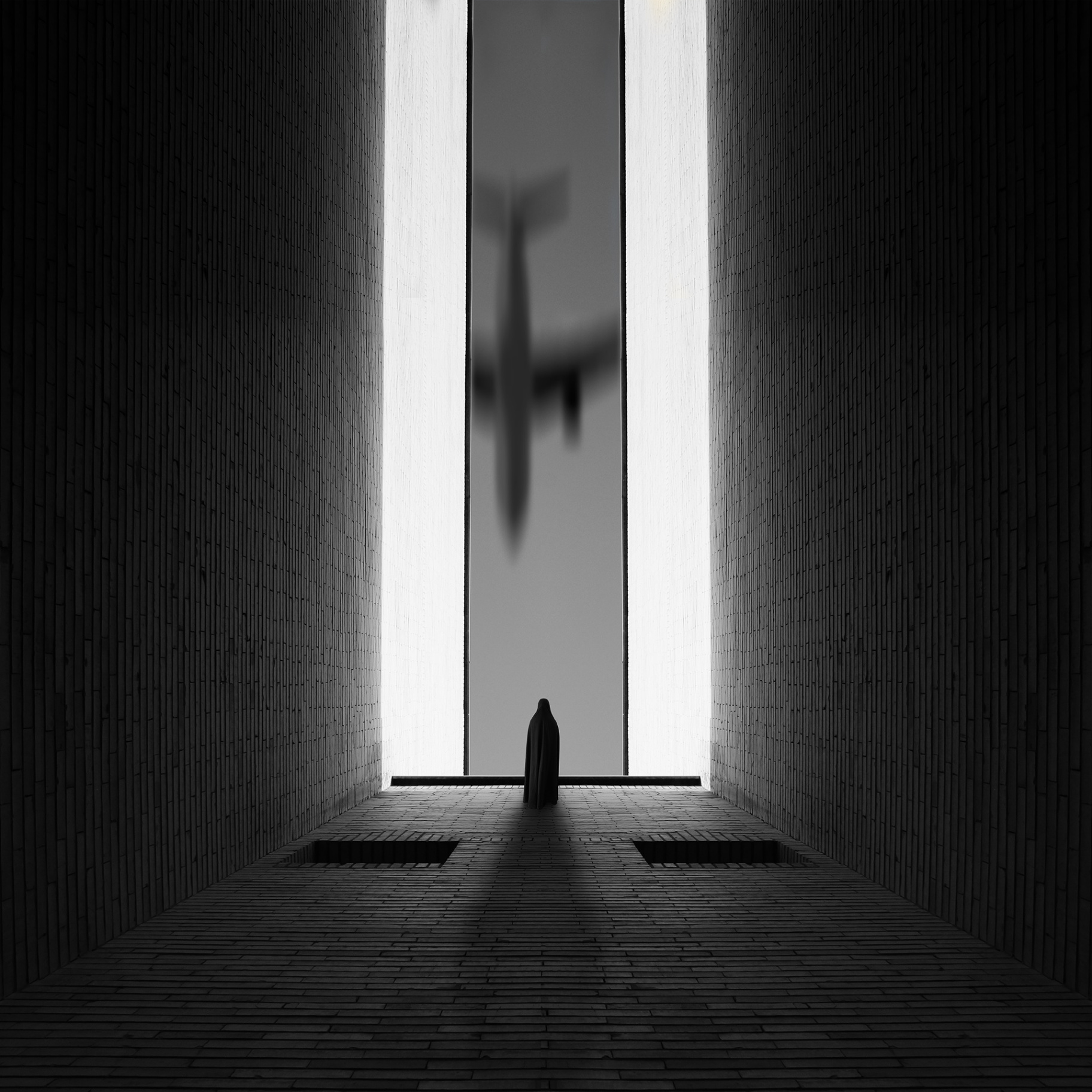 Photograph by Milad Safabakhsh