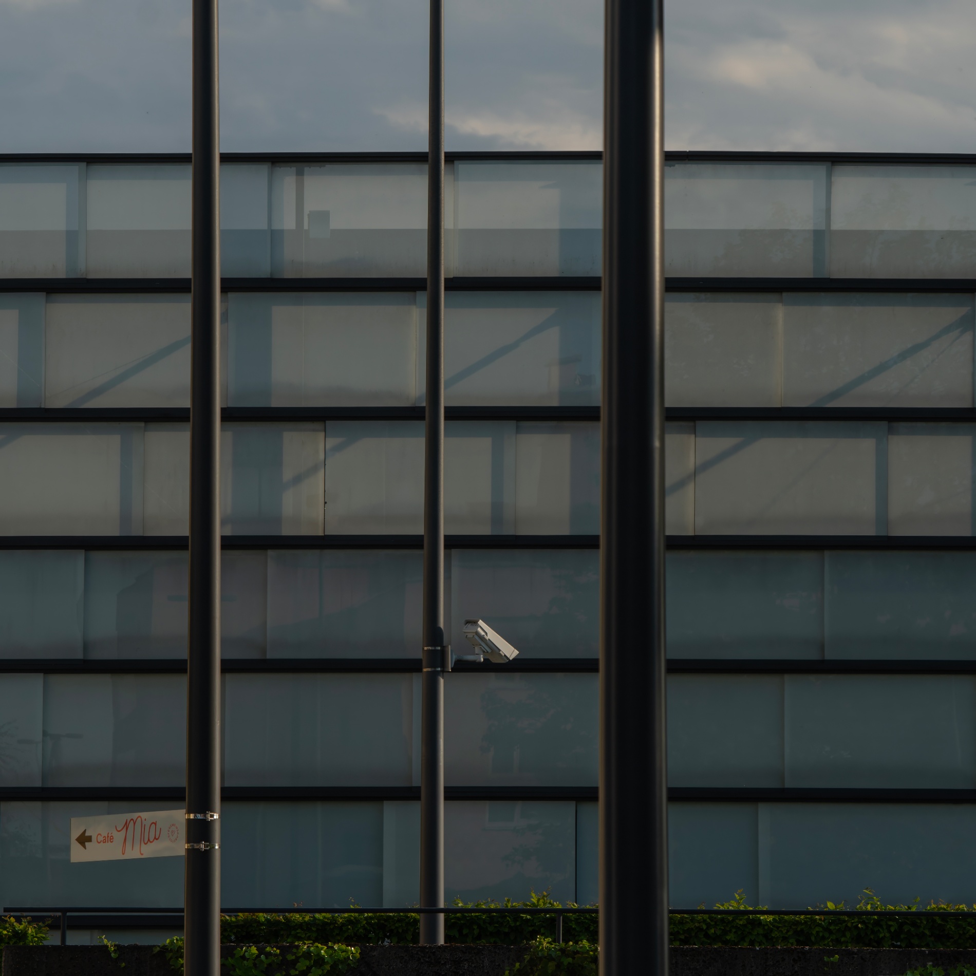Windows