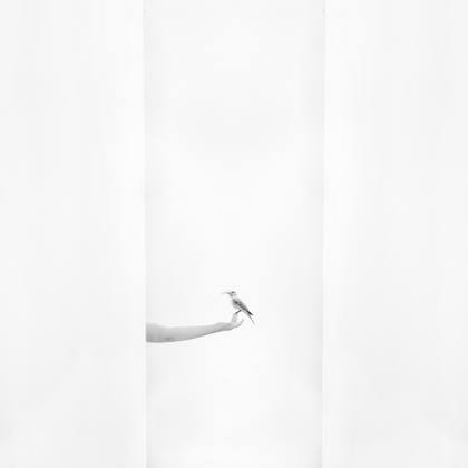 tes 4, by Milady