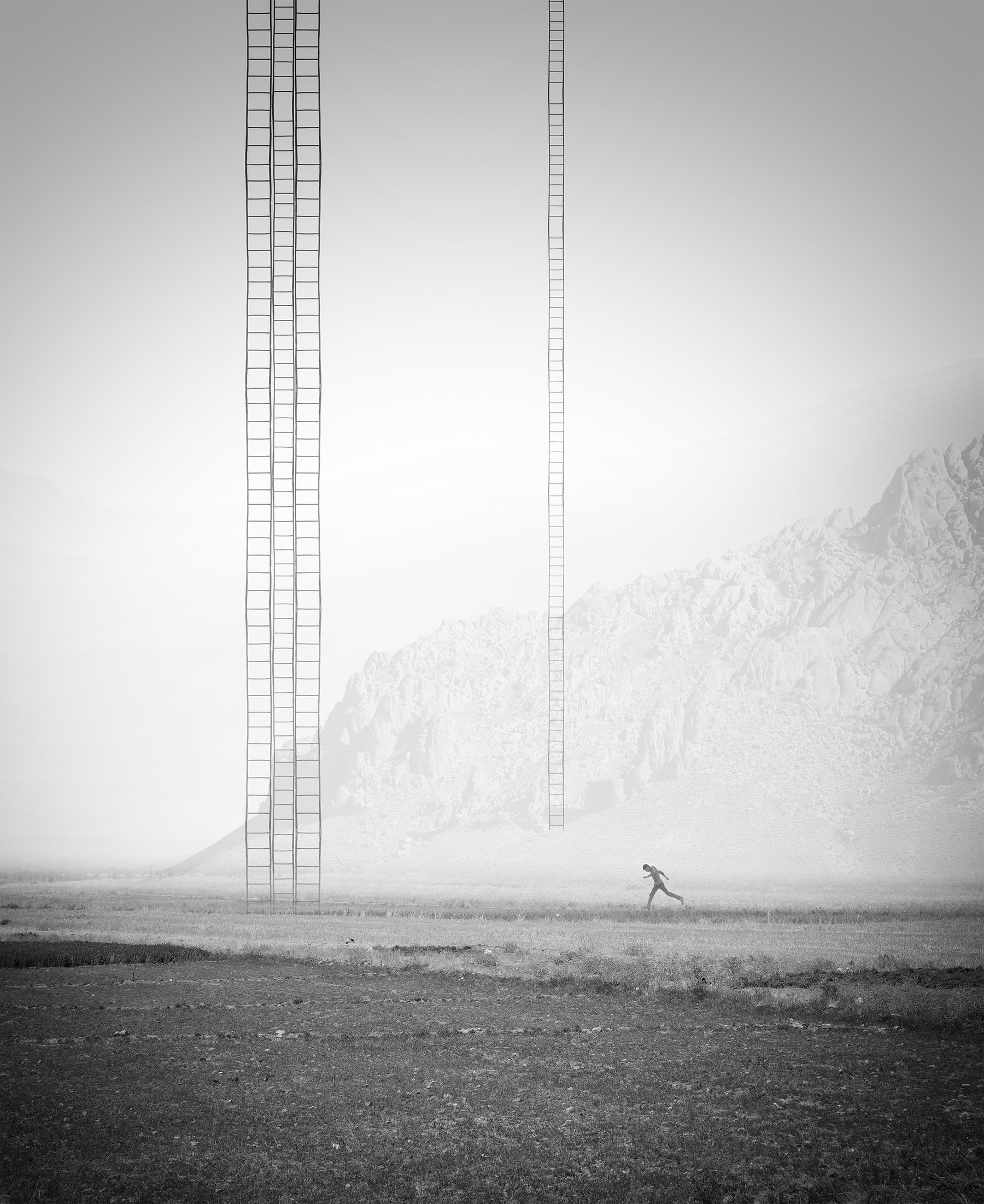 Photograph by Milad Safabakhsh